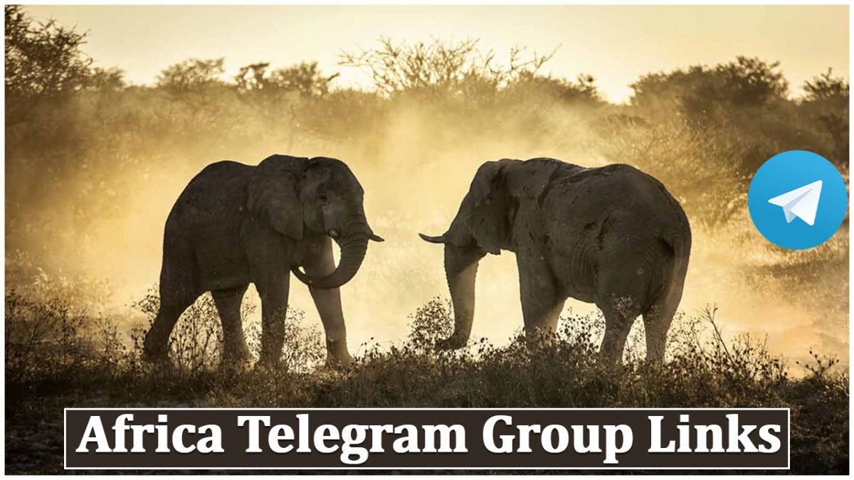 1130+ Africa Telegram Group Links & Channel List 2025