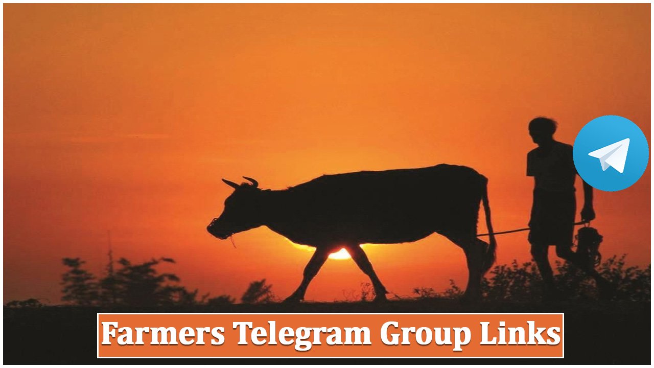 Farmers Telegram Group Links