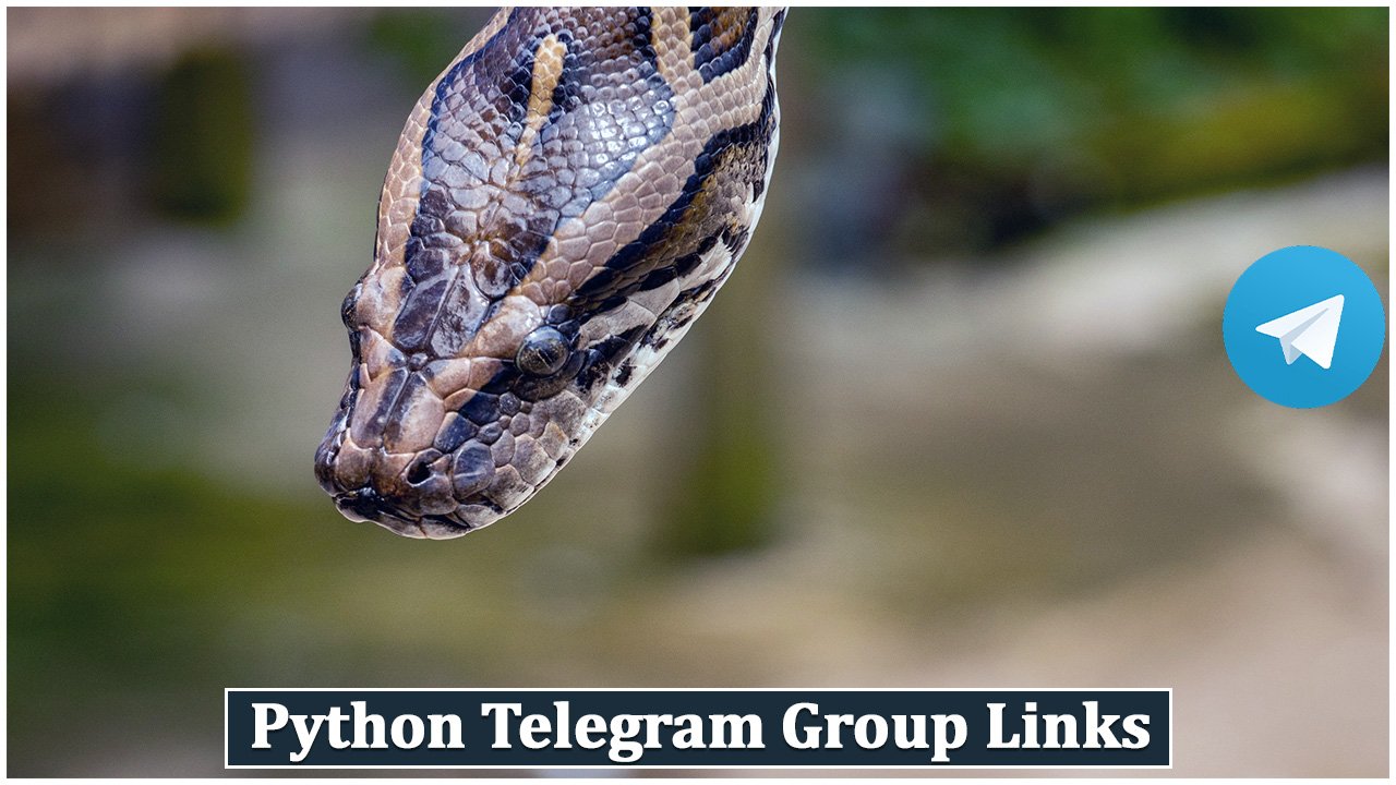 Python Telegram Group Links
