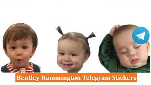 1000+ Bentley Hammington Telegram Stickers Package List 2024